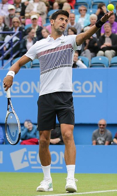 rivalità đoković-federer|Djokovic–Federer rivalry .